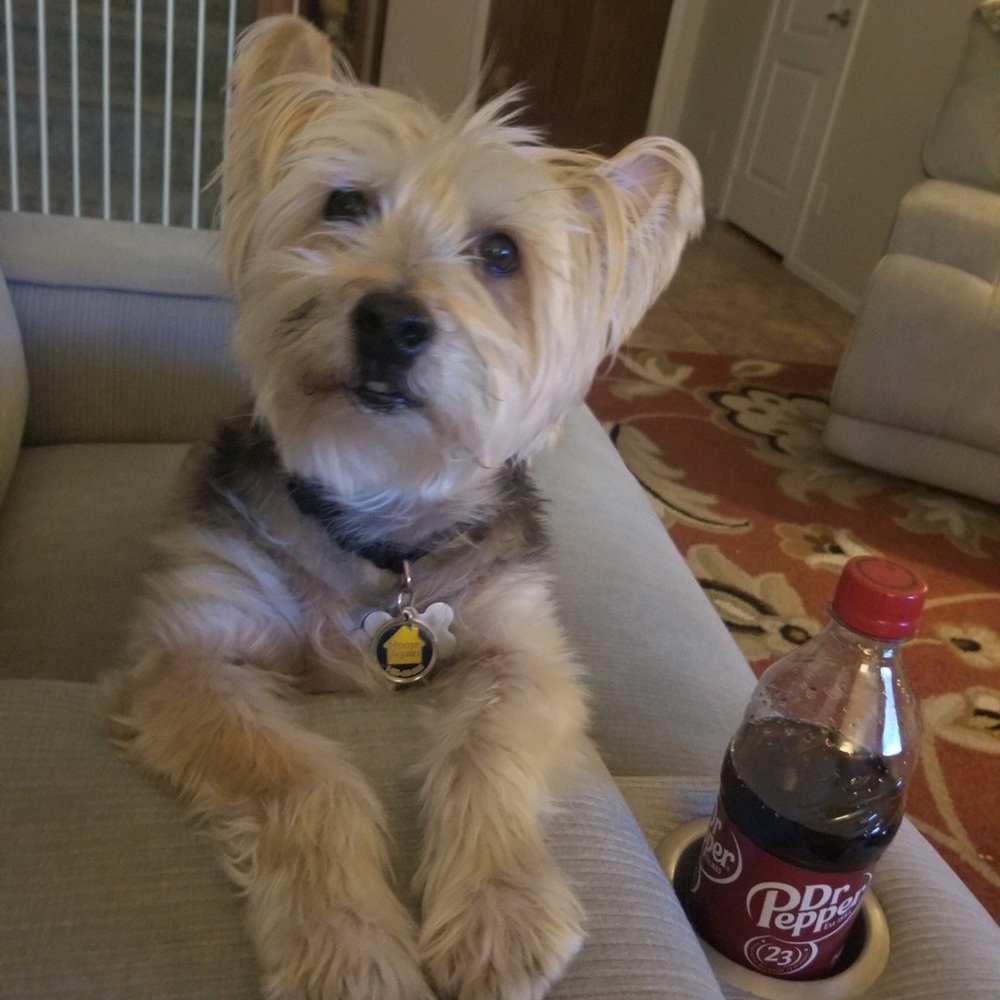 Meet your Posher, Janine